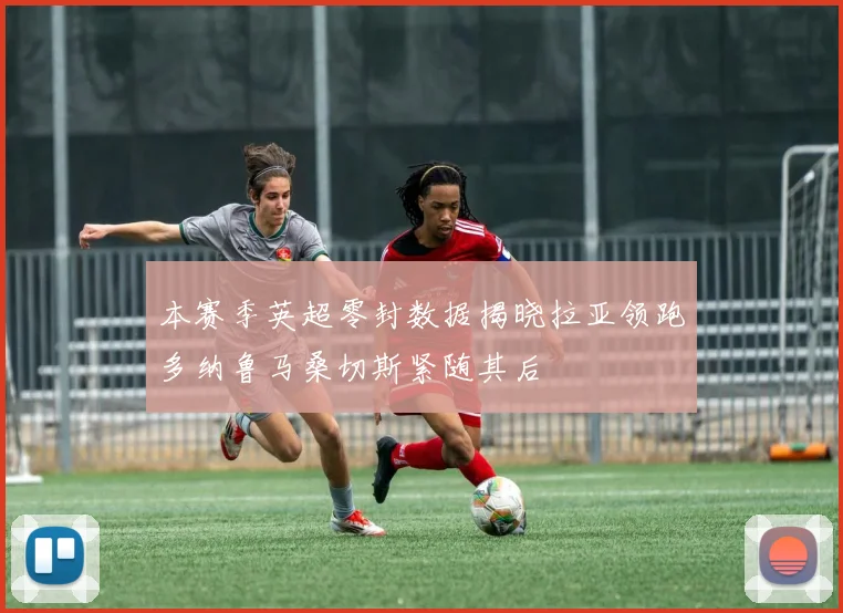 本赛季英超零封数据揭晓拉亚领跑多纳鲁马桑切斯紧随其后