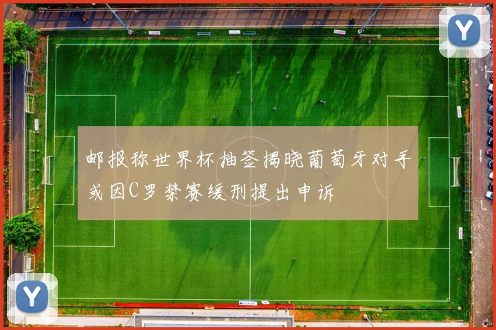 邮报称世界杯抽签揭晓葡萄牙对手或因C罗禁赛缓刑提出申诉